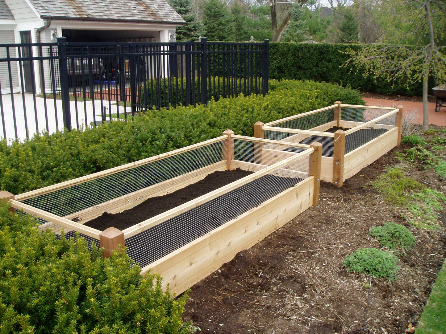 Two Cedar Raised Garden Beds with Rabbit Railing 3X8X2